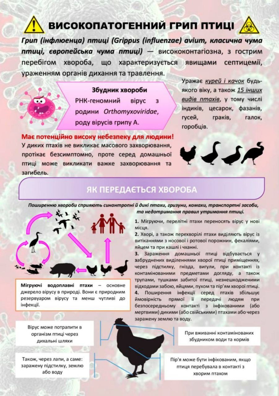 Титульне фото